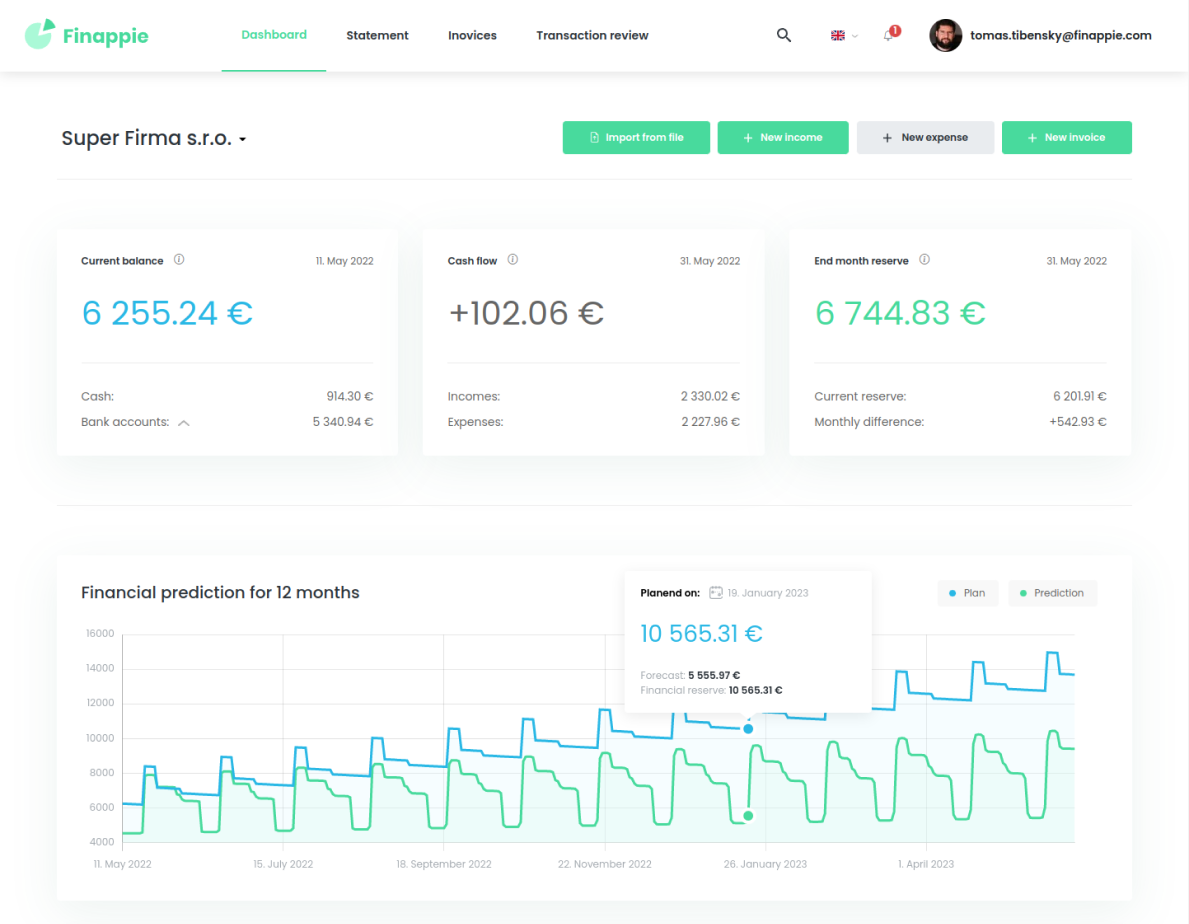 Account balances, prediction, and plan for the next 12 months